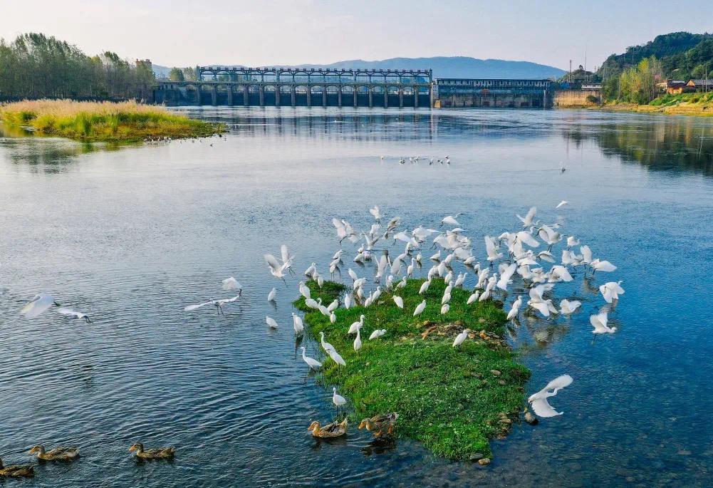 class, span, 阳举行