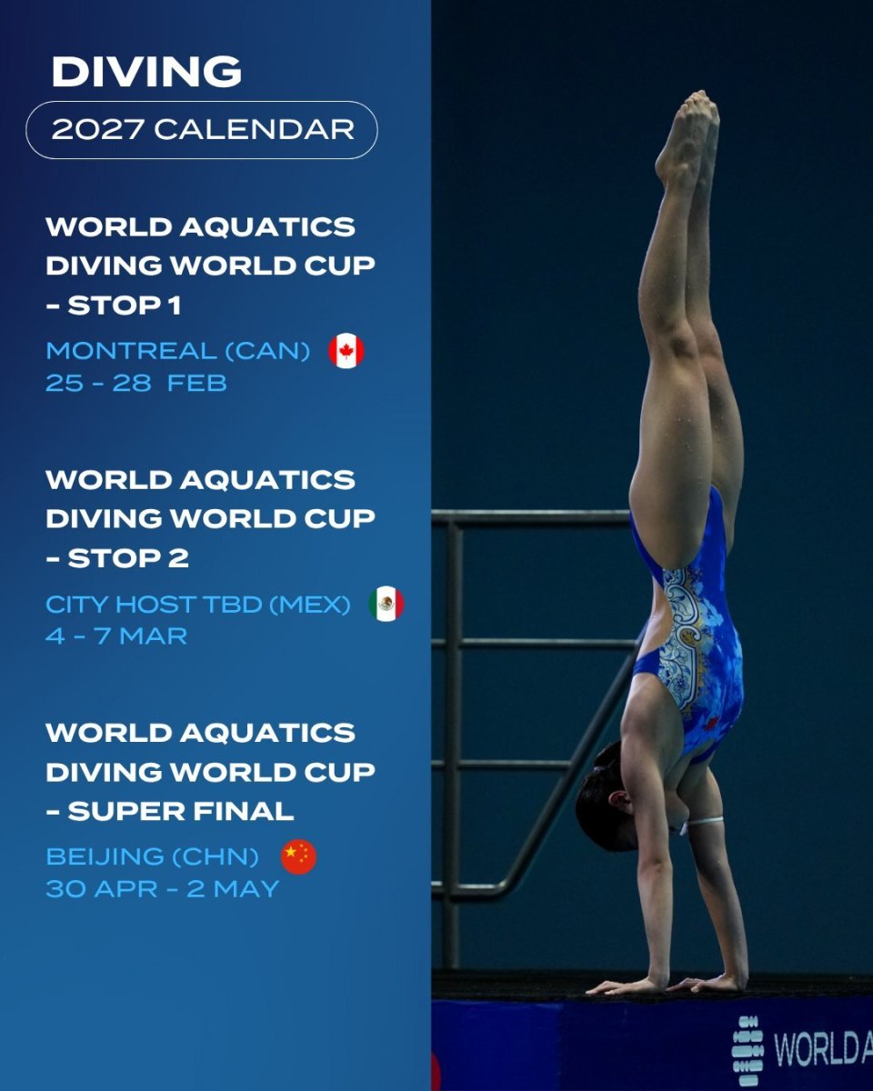 这就意味着 这就意味着